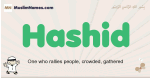 Hashid muslim boys name and meaning, islamic boys name Hashid