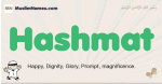Hashmat muslim boys name and meaning, islamic boys name Hashmat