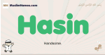 Hasin muslim boys name and meaning, islamic boys name Hasin