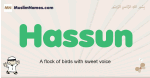 Hassun muslim boys name and meaning, islamic boys name Hassun