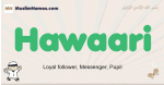 Hawaari muslim boys name and meaning, islamic boys name Hawaari