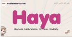 Haya muslim girls name and meaning, islamic girls name Haya