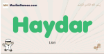 Haydar muslim boys name and meaning, islamic boys name Haydar