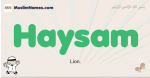Haysam muslim boys name and meaning, islamic boys name Haysam