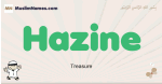 Hazine muslim boys name and meaning, islamic boys name Hazine