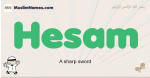 Hesam muslim boys name and meaning, islamic boys name Hesam