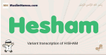 Hesham muslim boys name and meaning, islamic boys name Hesham