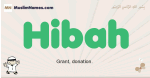 Hibah muslim boys name and meaning, islamic boys name Hibah