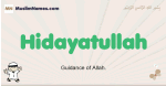 Hidayatullah muslim boys name and meaning, islamic boys name Hidayatullah