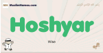 Hoshyar muslim boys name and meaning, islamic boys name Hoshyar