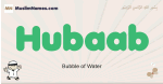 Hubaab muslim boys name and meaning, islamic boys name Hubaab