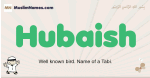 Hubaish muslim boys name and meaning, islamic boys name Hubaish