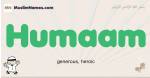 Humaam muslim boys name and meaning, islamic boys name Humaam