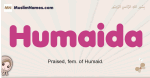 Humaida muslim girls name and meaning, islamic girls name Humaida