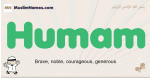 Humam muslim boys name and meaning, islamic boys name Humam