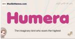 Humera muslim girls name and meaning, islamic girls name Humera