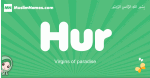 Hur arabic girl name and meaning, quranic girls name Hur
