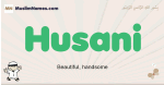 Husani muslim boys name and meaning, islamic boys name Husani