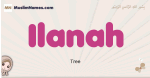 Ilanah muslim girls name and meaning, islamic girls name Ilanah