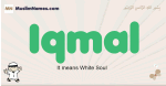 Iqmal muslim boys name and meaning, islamic boys name Iqmal