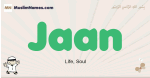 Jaan muslim boys name and meaning, islamic boys name Jaan