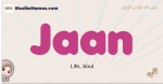Jaan muslim girls name and meaning, islamic girls name Jaan