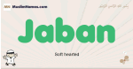 Jaban muslim boys name and meaning, islamic boys name Jaban