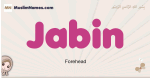 Jabin muslim girls name and meaning, islamic girls name Jabin