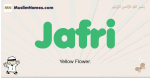 Jafri muslim boys name and meaning, islamic boys name Jafri