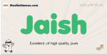 Jaish muslim boys name and meaning, islamic boys name Jaish