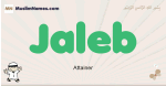 Jaleb muslim boys name and meaning, islamic boys name Jaleb