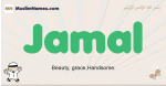 Jamal muslim boys name and meaning, islamic boys name Jamal