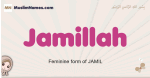 Jamillah muslim girls name and meaning, islamic girls name Jamillah