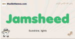 Jamsheed muslim boys name and meaning, islamic boys name Jamsheed