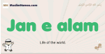 Jan-e-alam muslim boys name and meaning, islamic boys name Jan-e-alam
