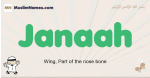 Janaah muslim boys name and meaning, islamic boys name Janaah