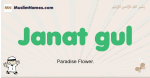Janat-gul muslim boys name and meaning, islamic boys name Janat-gul