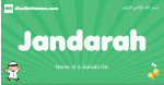 Jandarah arabic boys name and meaning, quranic boys name Jandarah