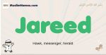 Jareed muslim boys name and meaning, islamic boys name Jareed