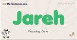 Jareh muslim boys name and meaning, islamic boys name Jareh