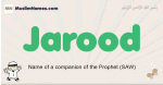 Jarood muslim boys name and meaning, islamic boys name Jarood