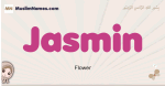 Jasmin muslim girls name and meaning, islamic girls name Jasmin