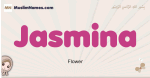 Jasmina muslim girls name and meaning, islamic girls name Jasmina