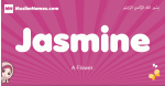 Jasmine arabic girls name and meaning, muslim girl name Jasmine