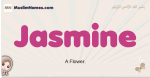 Jasmine muslim girls name and meaning, islamic girls name Jasmine