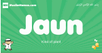 Jaun arabic boys name and meaning, quranic boys name Jaun