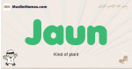 Jaun muslim boys name and meaning, islamic boys name Jaun
