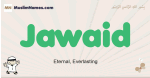 Jawaid muslim boys name and meaning, islamic boys name Jawaid