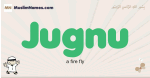 Jugnu muslim boys name and meaning, islamic boys name Jugnu