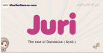 Juri muslim girls name and meaning, islamic girls name Juri